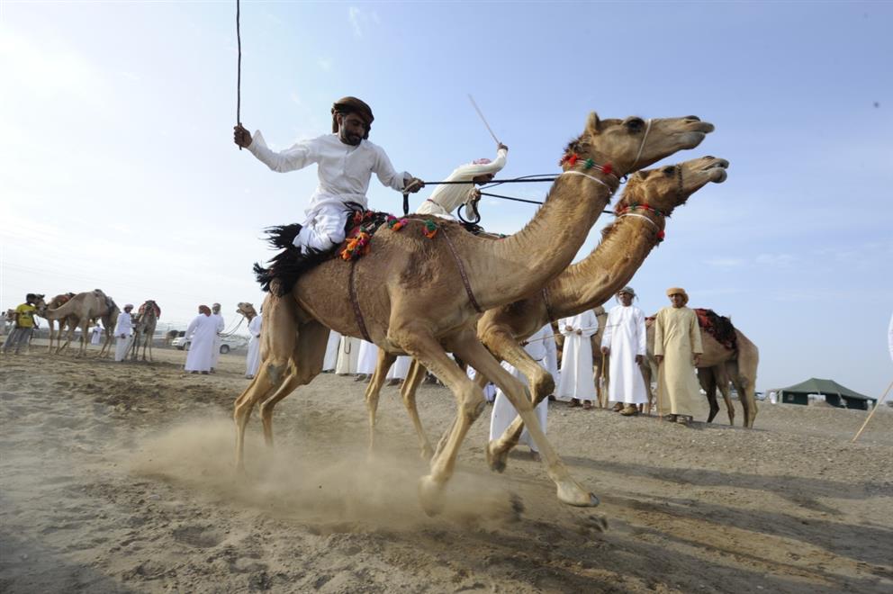 غدا.. انطلاق فعالية ركض العرضة بالفليج