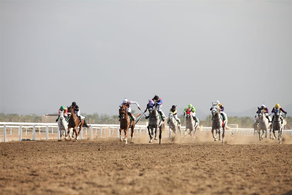 السباق الثاني لنادي سباق الخيل السلطاني بمضمار الرحبة ببركاء
