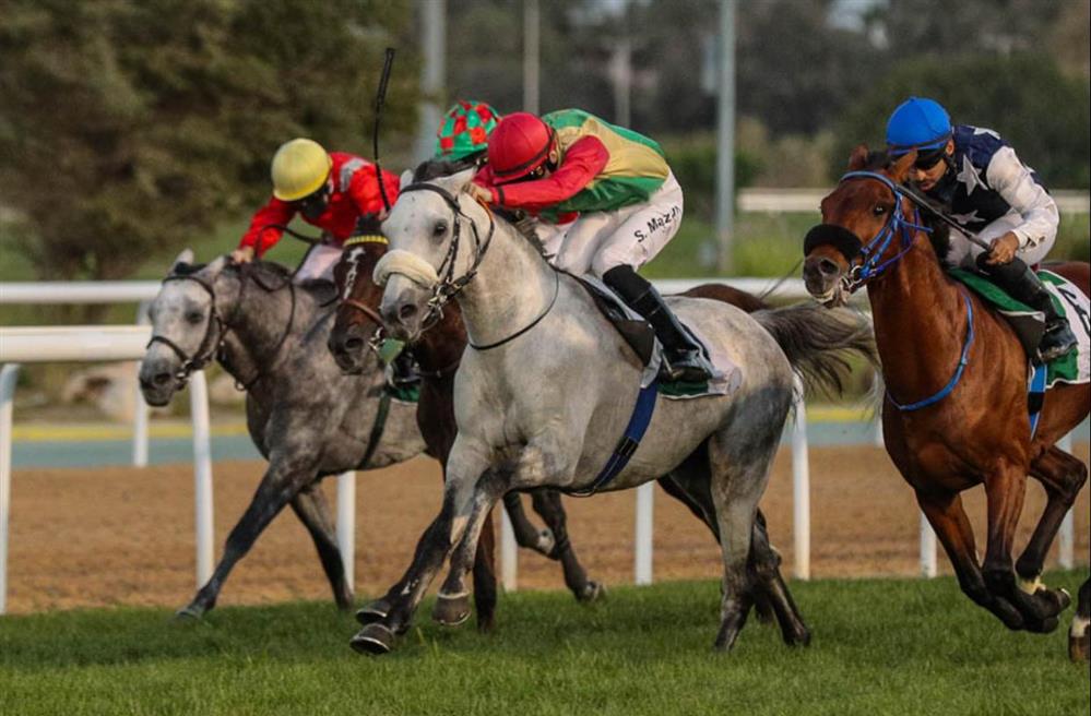 الحصان جبلاني للخيالة السلطانية يُحرز المركز الأول على مضمار أبوظبي