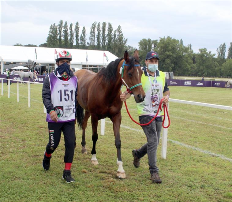 فارس الخيالة السلطانية محمود الفوري يجتاز بطولة العالم للقدرة ويحقق المركز الـ/18/ عالميًّا