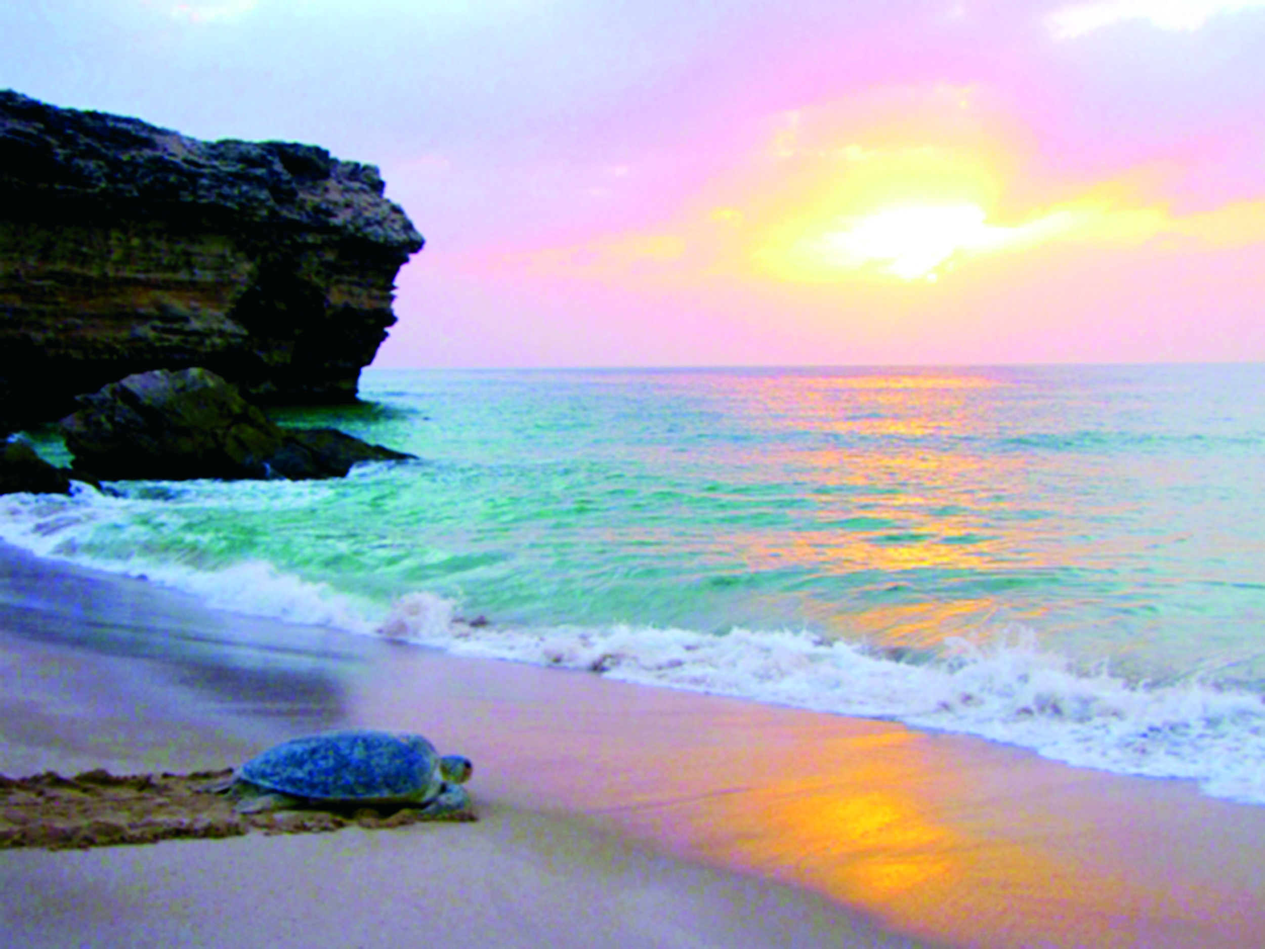 الأشخرة "أجواء خريفية باردة ووجهة سياحية صيفية"