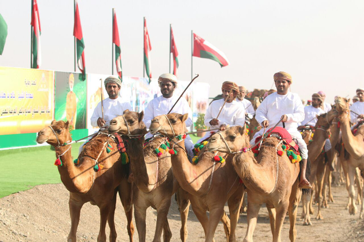 ختام فعاليات الحفل السنوي السابع لركض العرضة للهجن الأهلية والخيل بولاية صحم