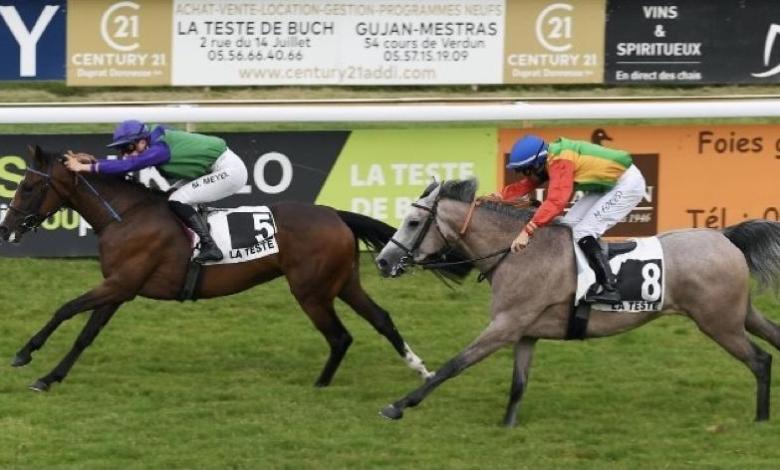 الفرس "فطينة" للخيالة السلطانية تحقق المركز الثاني بفرنسا