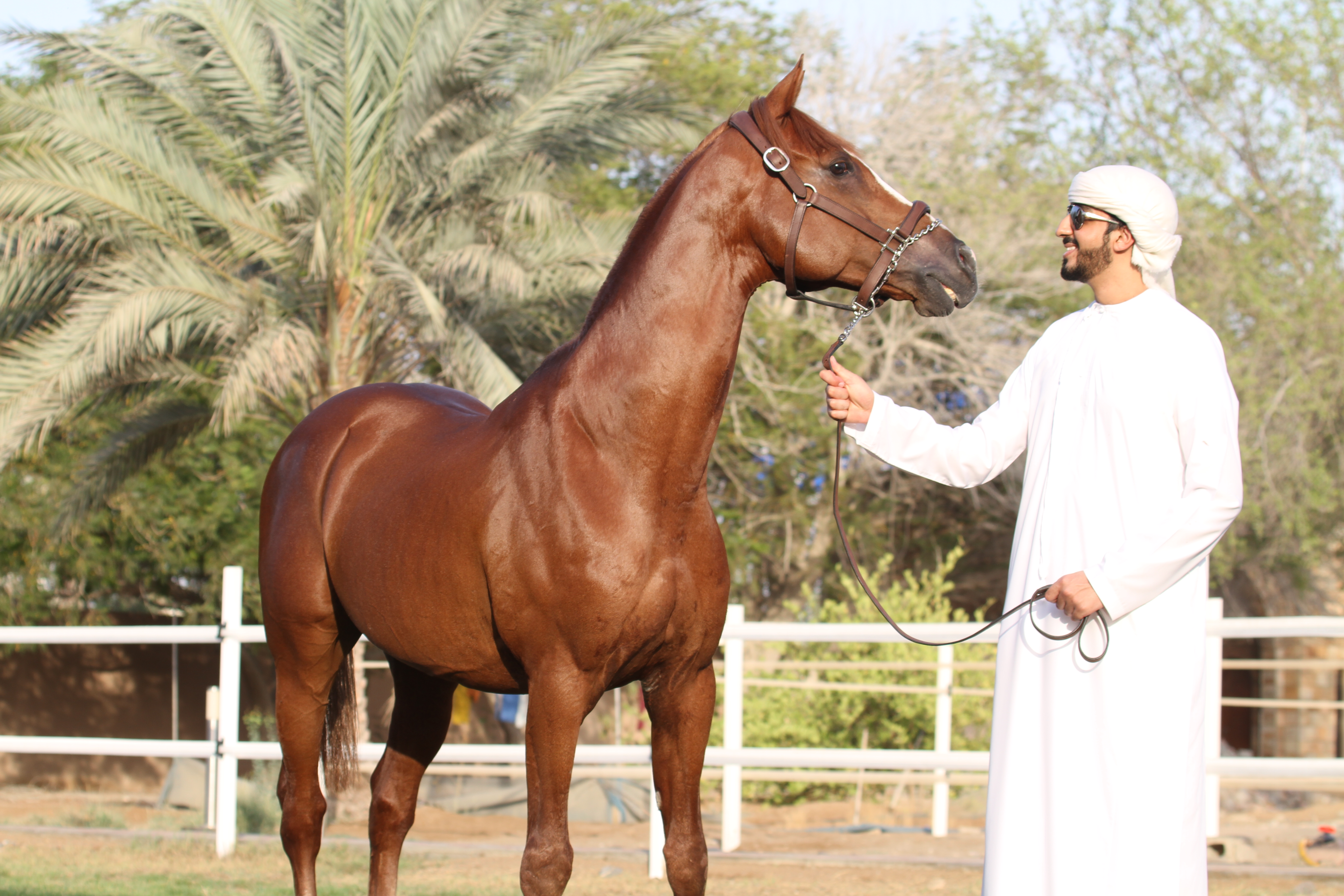 الشيخ المهند الحشار