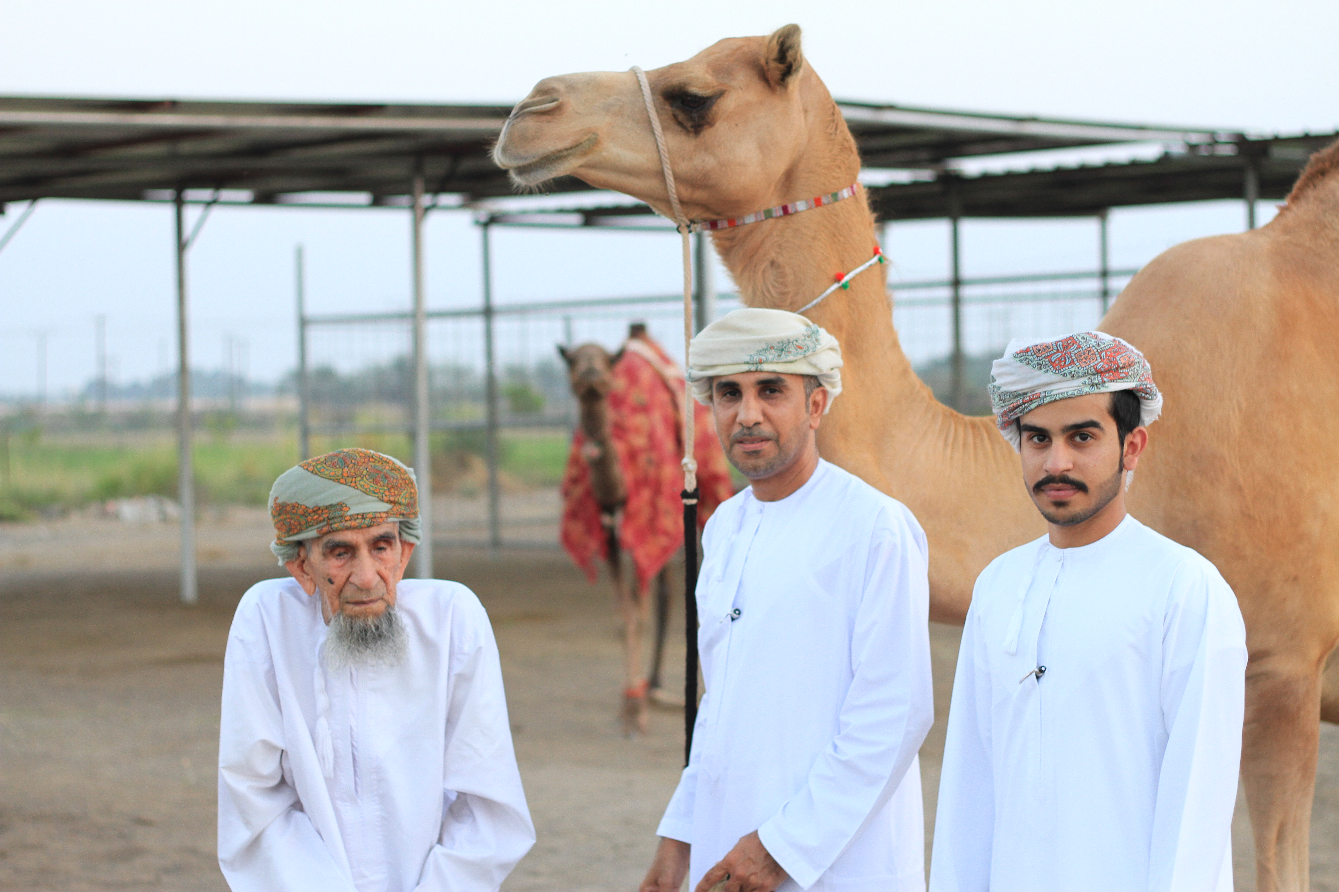 الوالد صالح بن سعيد الكيومي