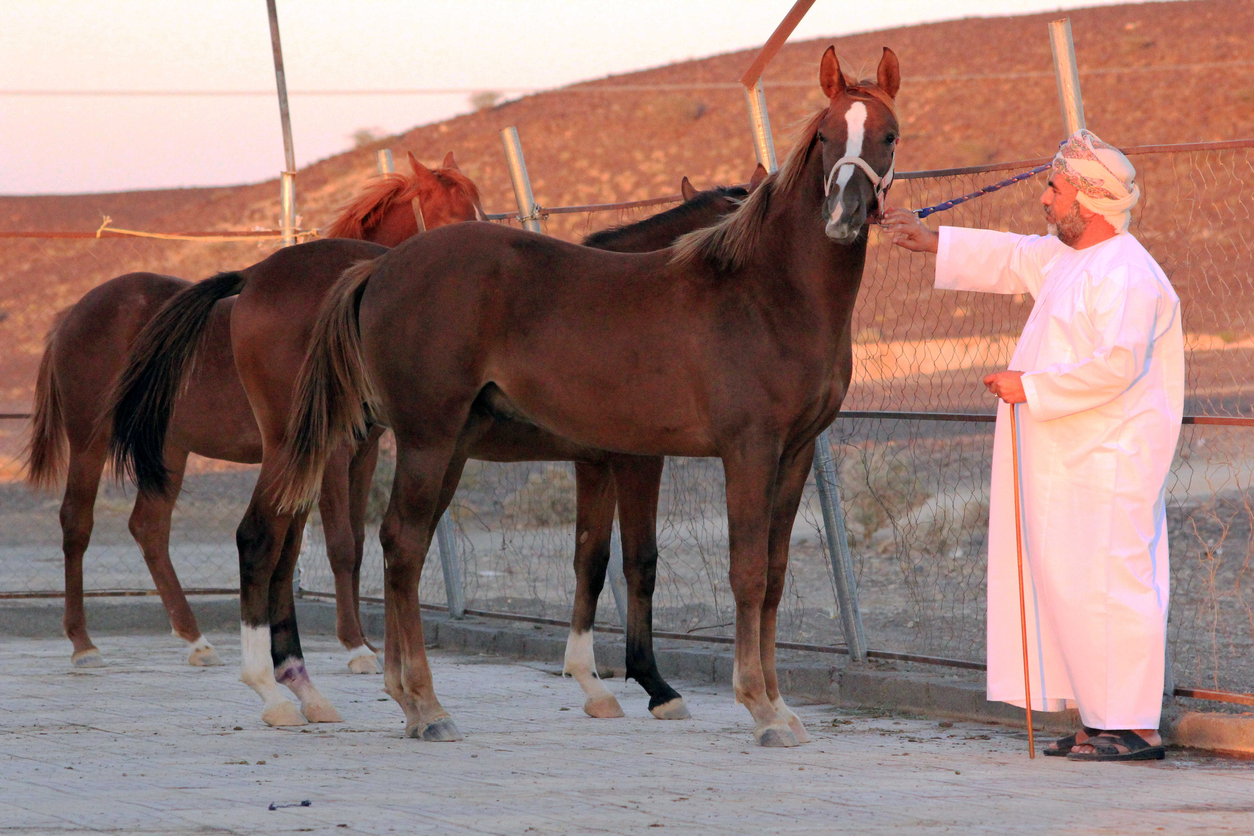 الشيخ خلفان البوسعيدي