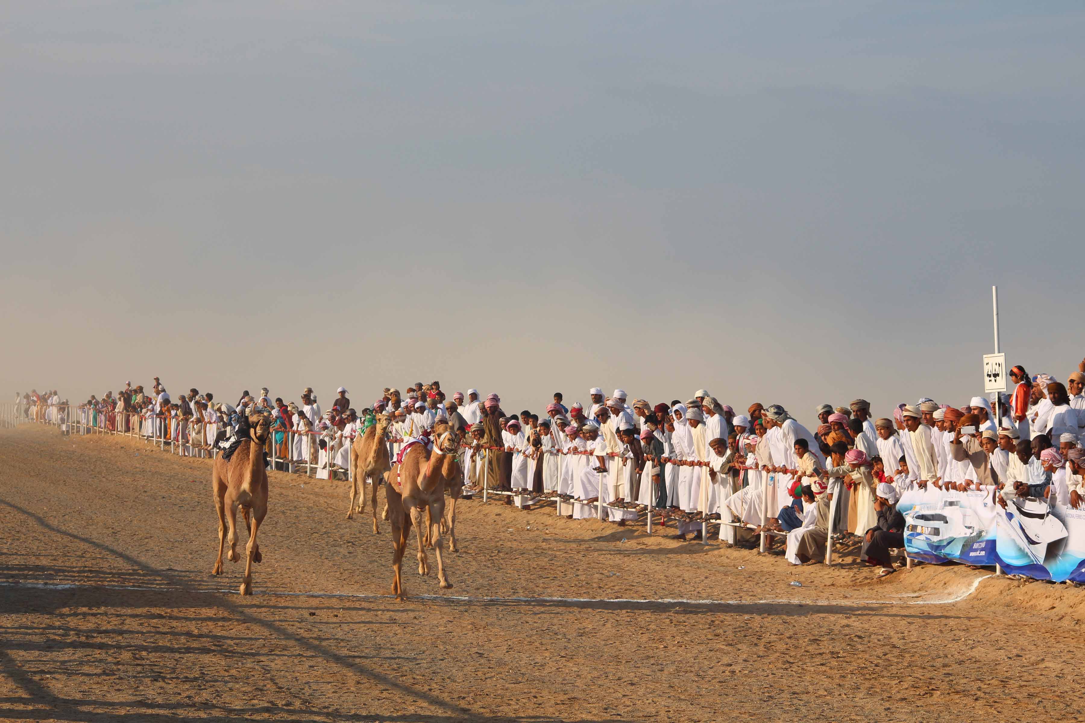 المهرجان السنوي الثالث لسباق الهجن ( مصيرة )