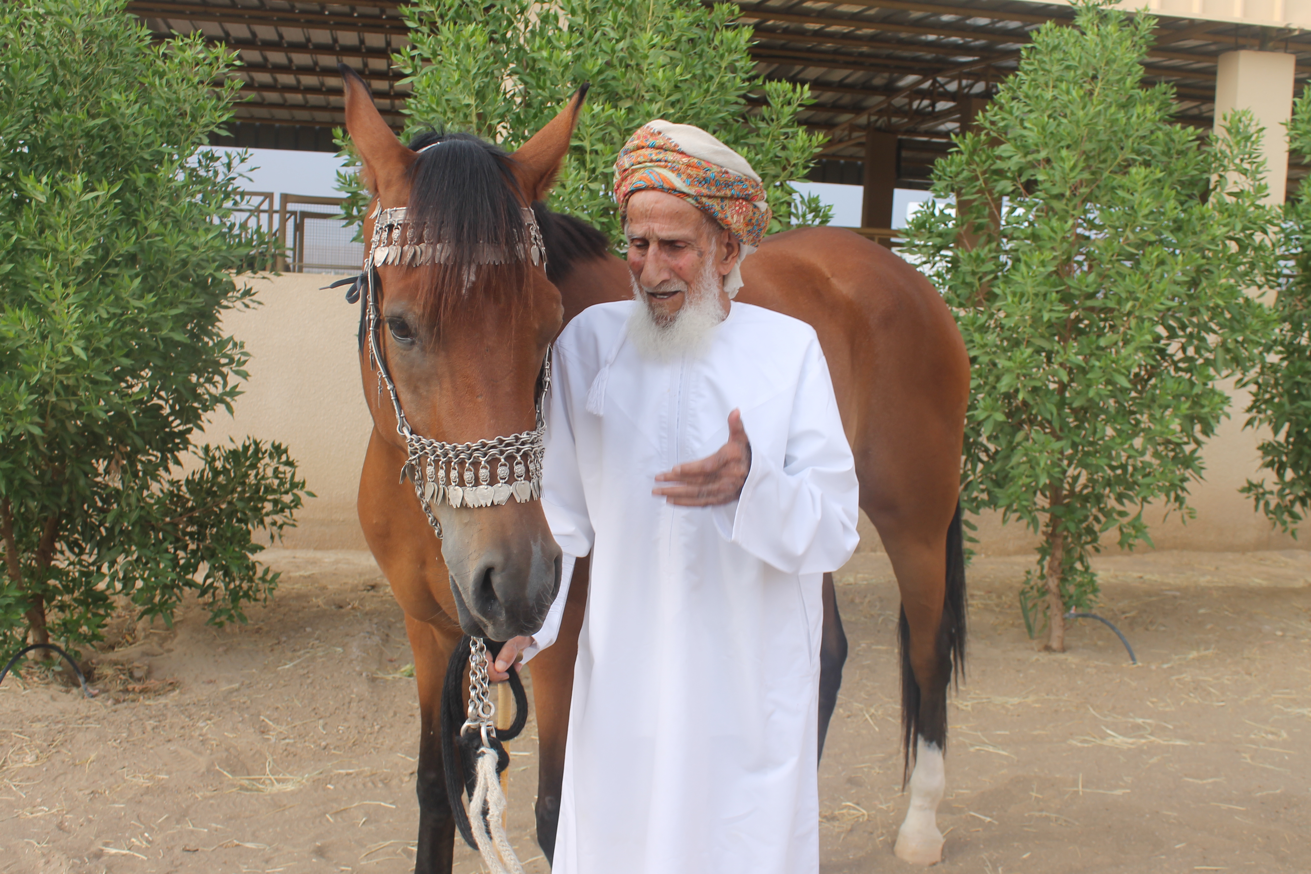 الشيخ شهاب بن حمد بن راشد البلوشي