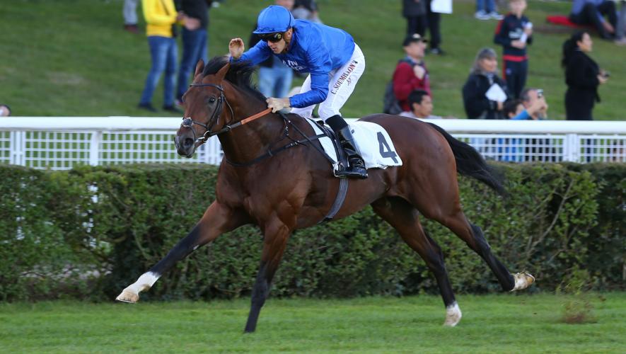 خيول السباق البريطانية أصلها عربي!