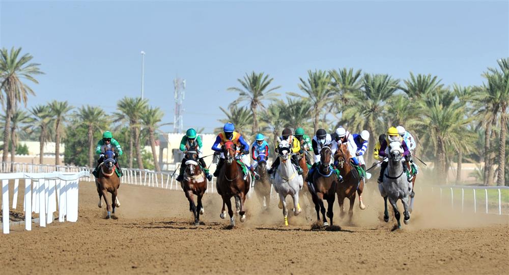 غدًا مضمار الرحبة يشهد سباق الخيل الرابع