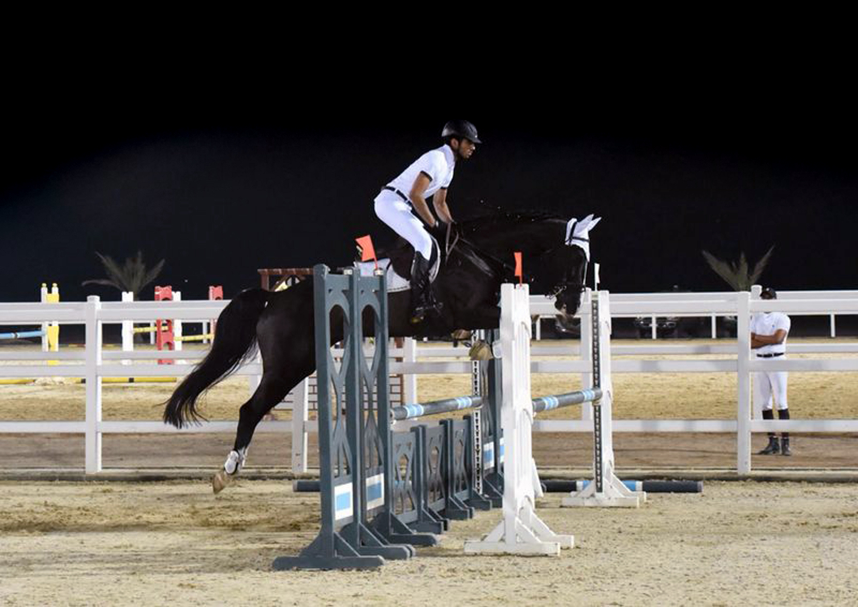 مشروع فارس "محمد بن رشاد بن أحمد الهنائي"