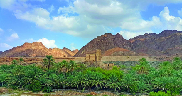 وادي الحواسنة بالخابورة تراث نابض بالحياة