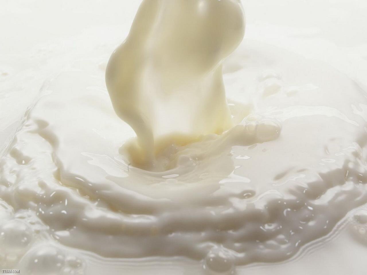 تجارب هندية على لبن الإبل