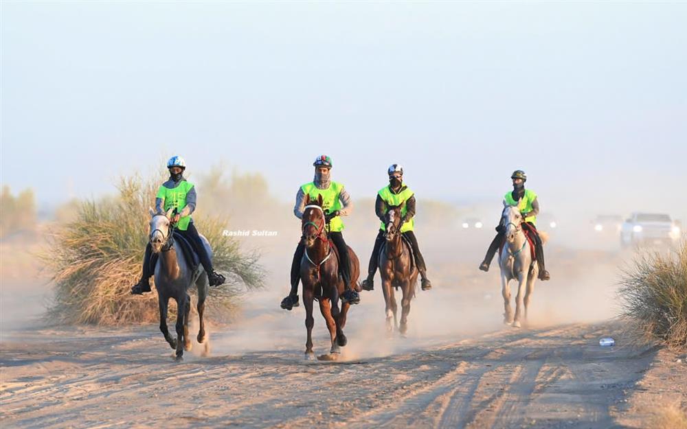الحصان هبوب مسقط يظفر بكأس العيد الوطني الخمسين للقدرة والتحمل