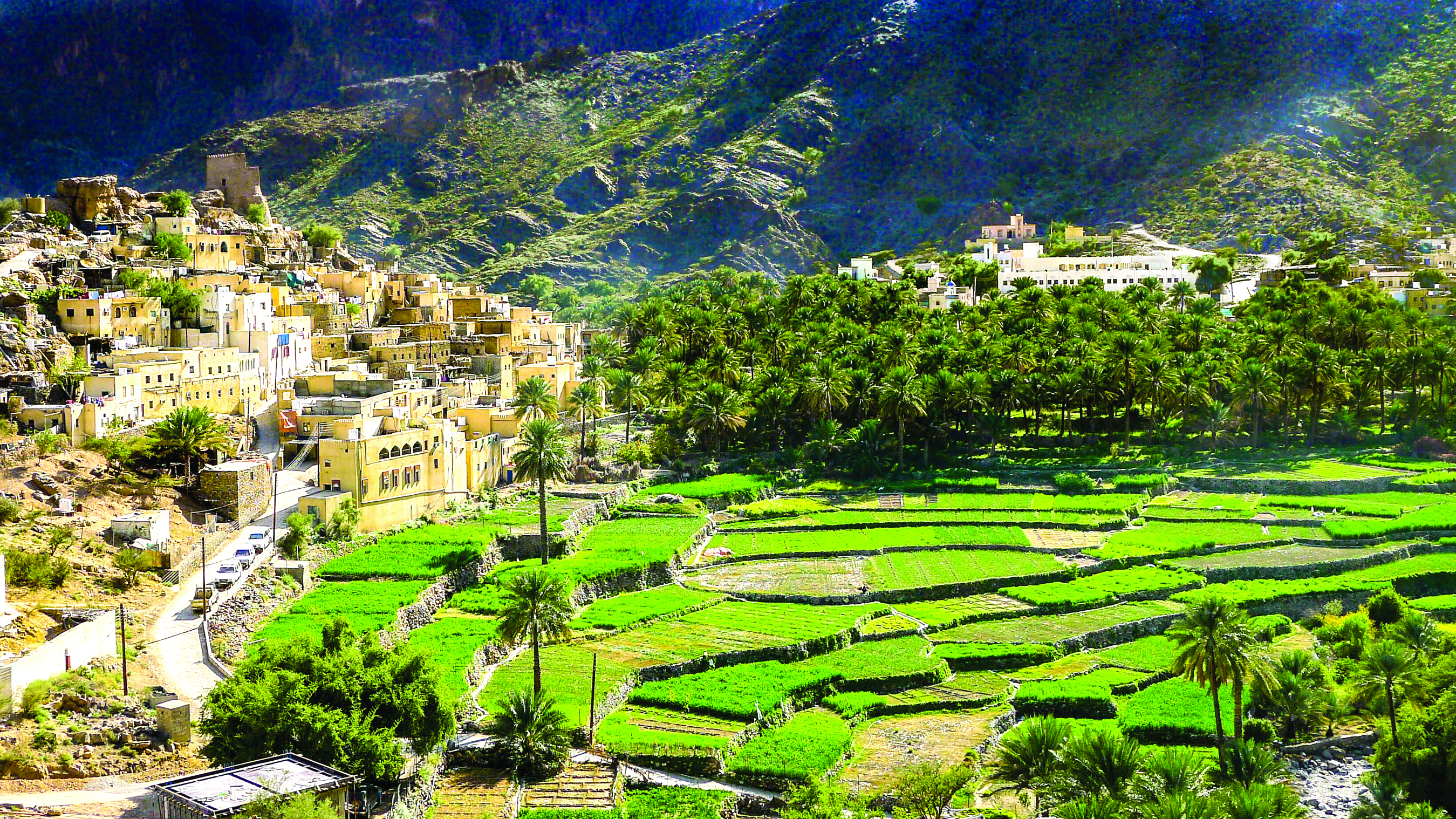 وادي محرم "تروي تاريخ الأجداد"