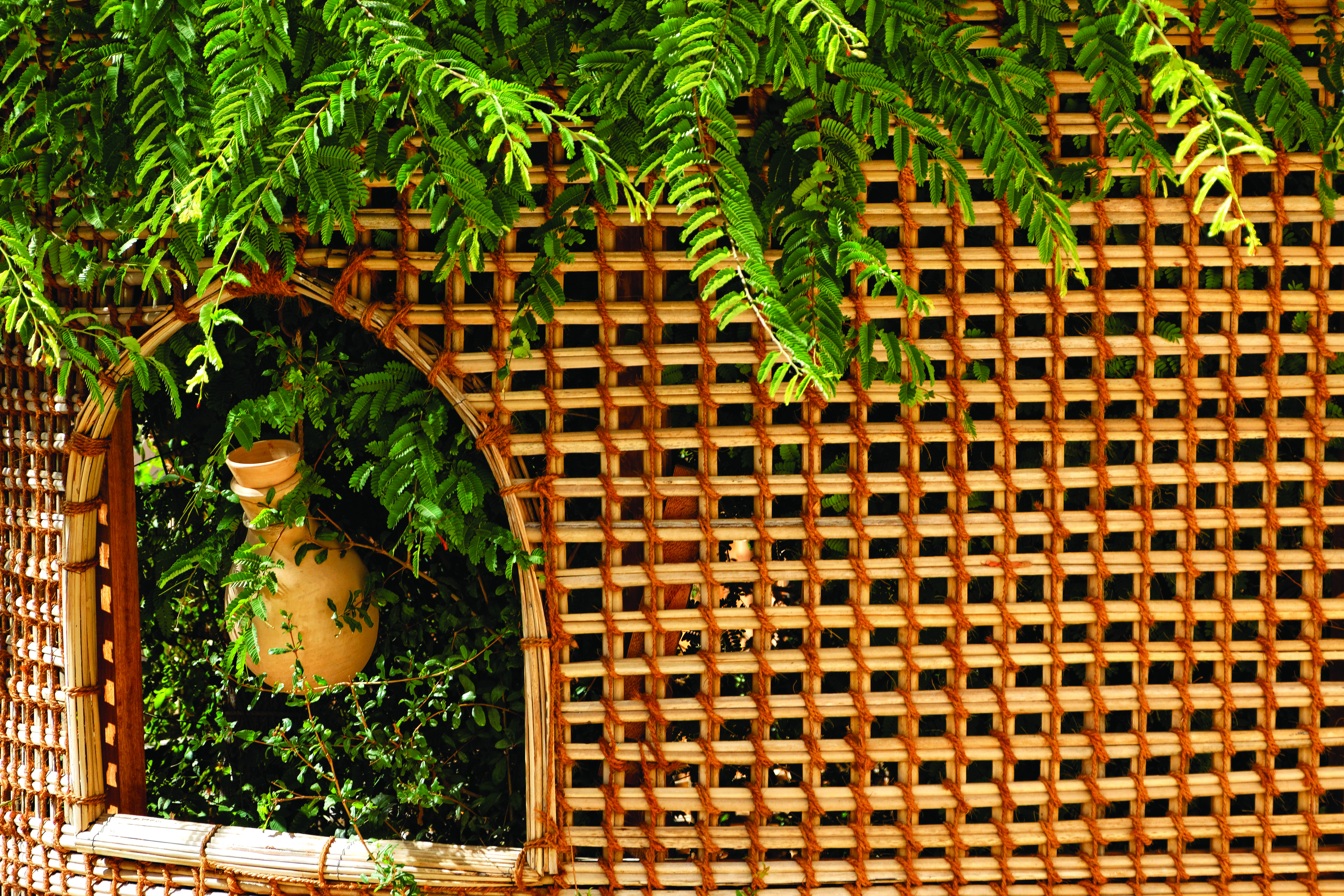 بيوت العريش