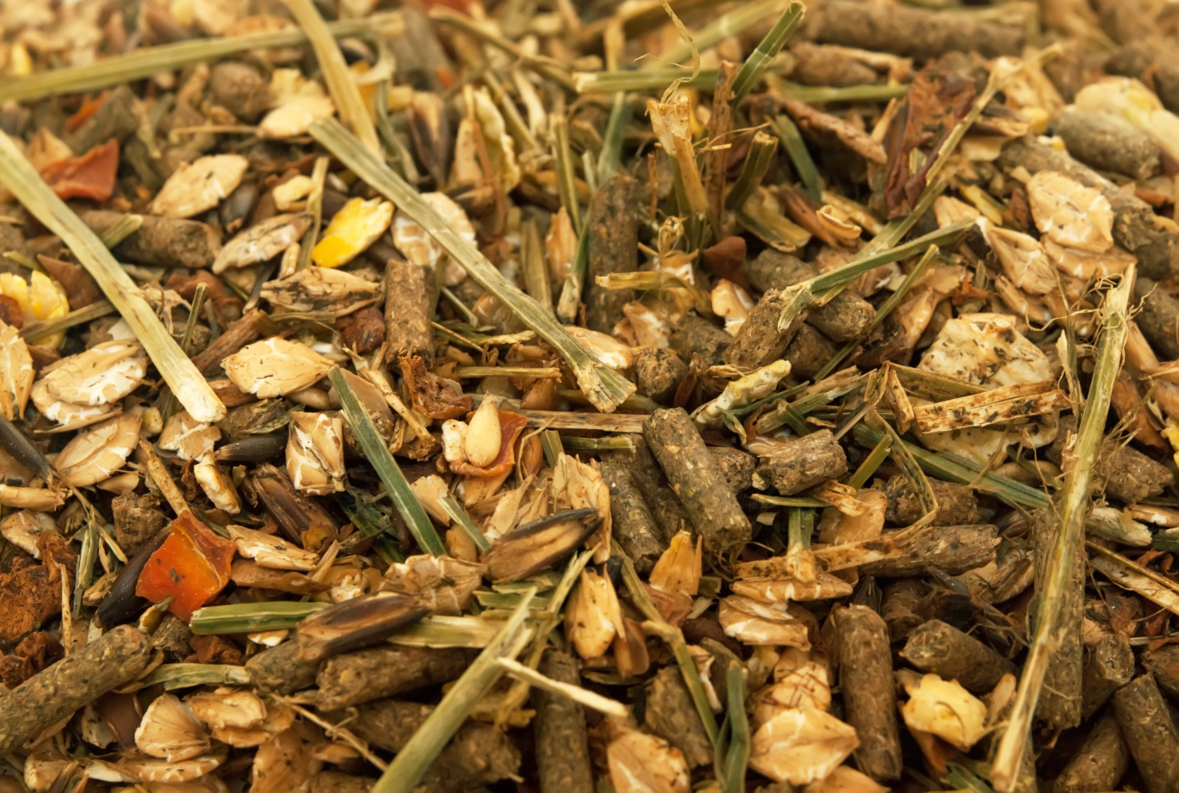 خبير في (الزراعة) يؤكد أهمية المواد الغذائية المستخرجة من المواد الطبيعية لتربية الخيول