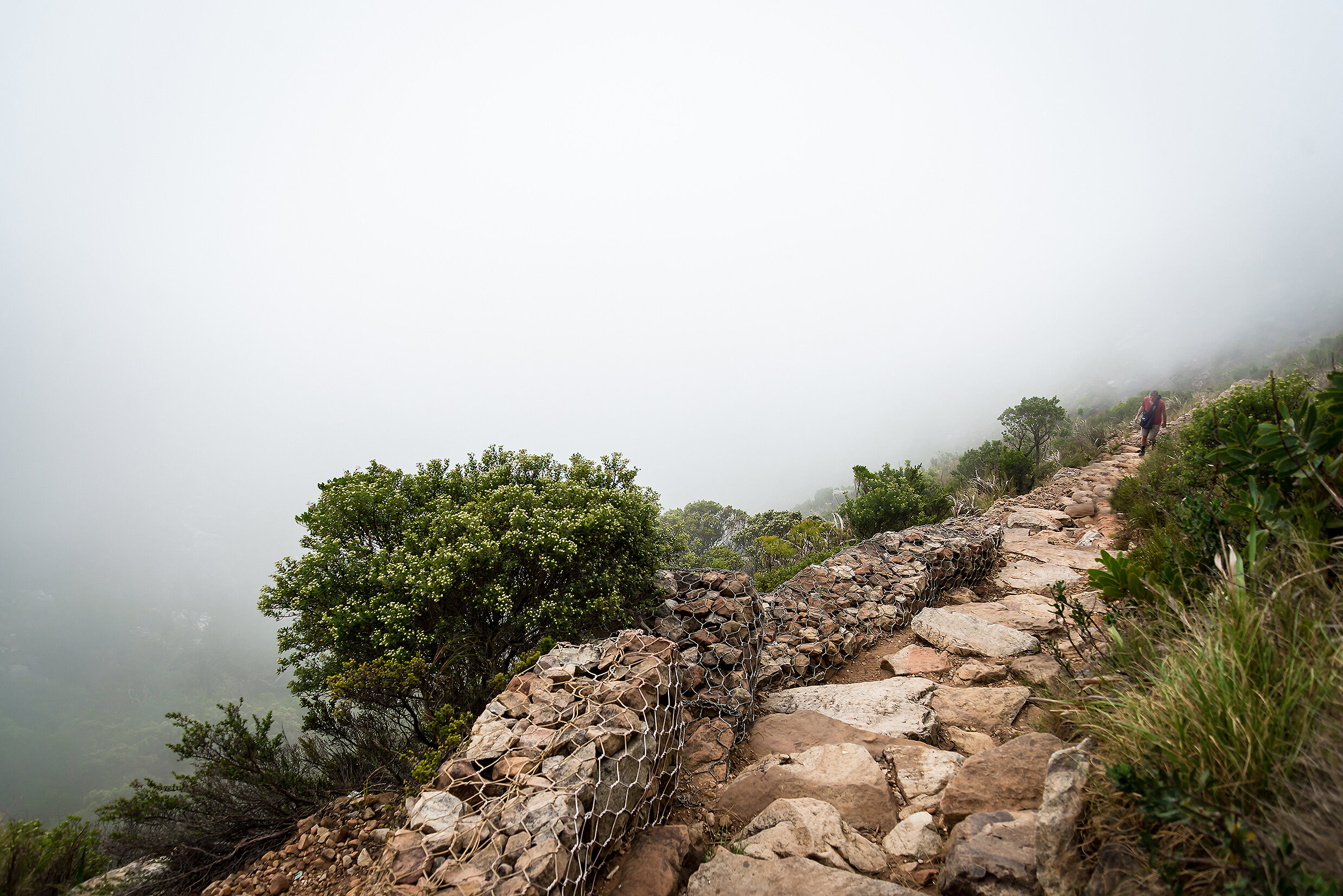 ظفار "هبة الخالق لعمان"
