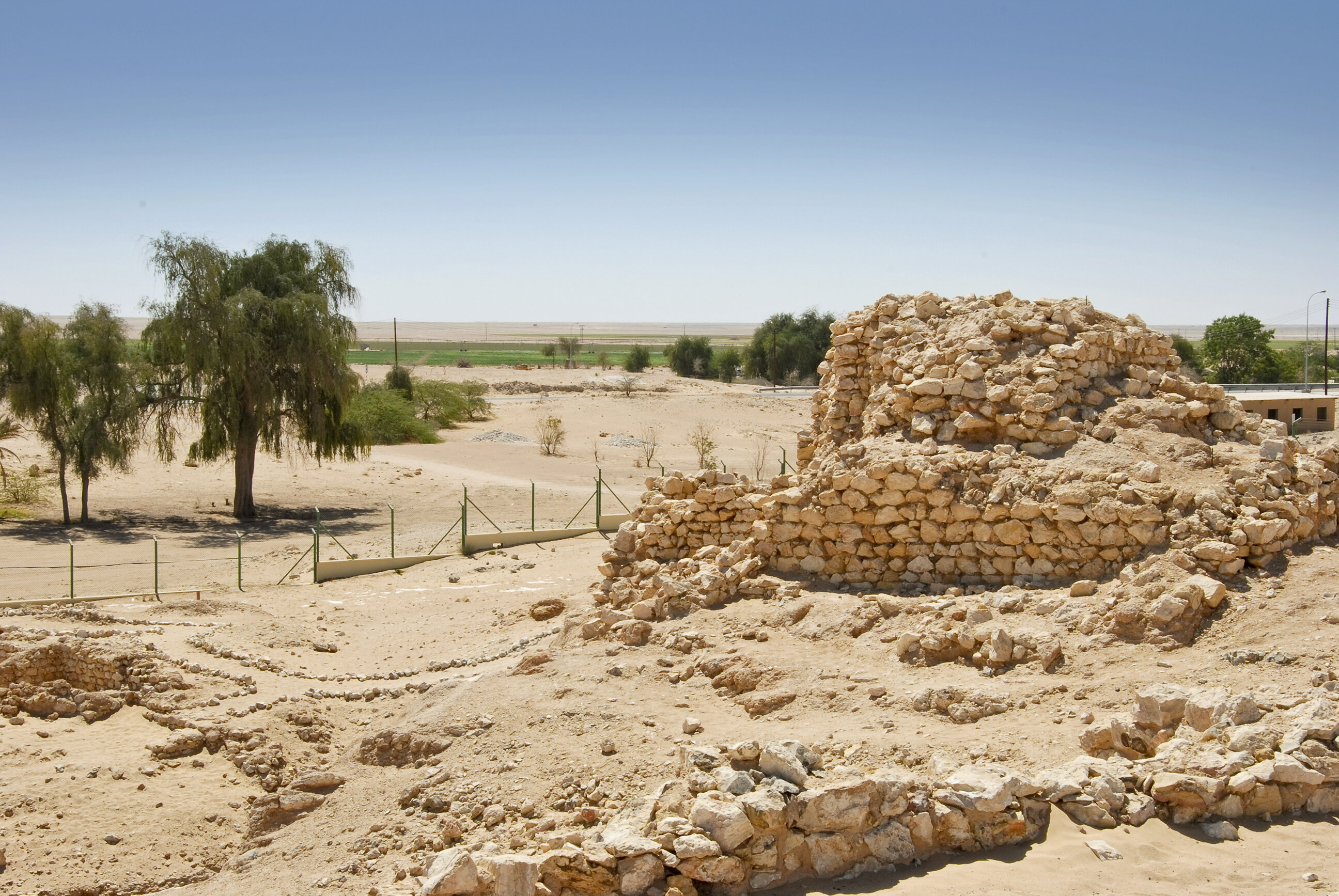 الشصر "طريق اللبان"