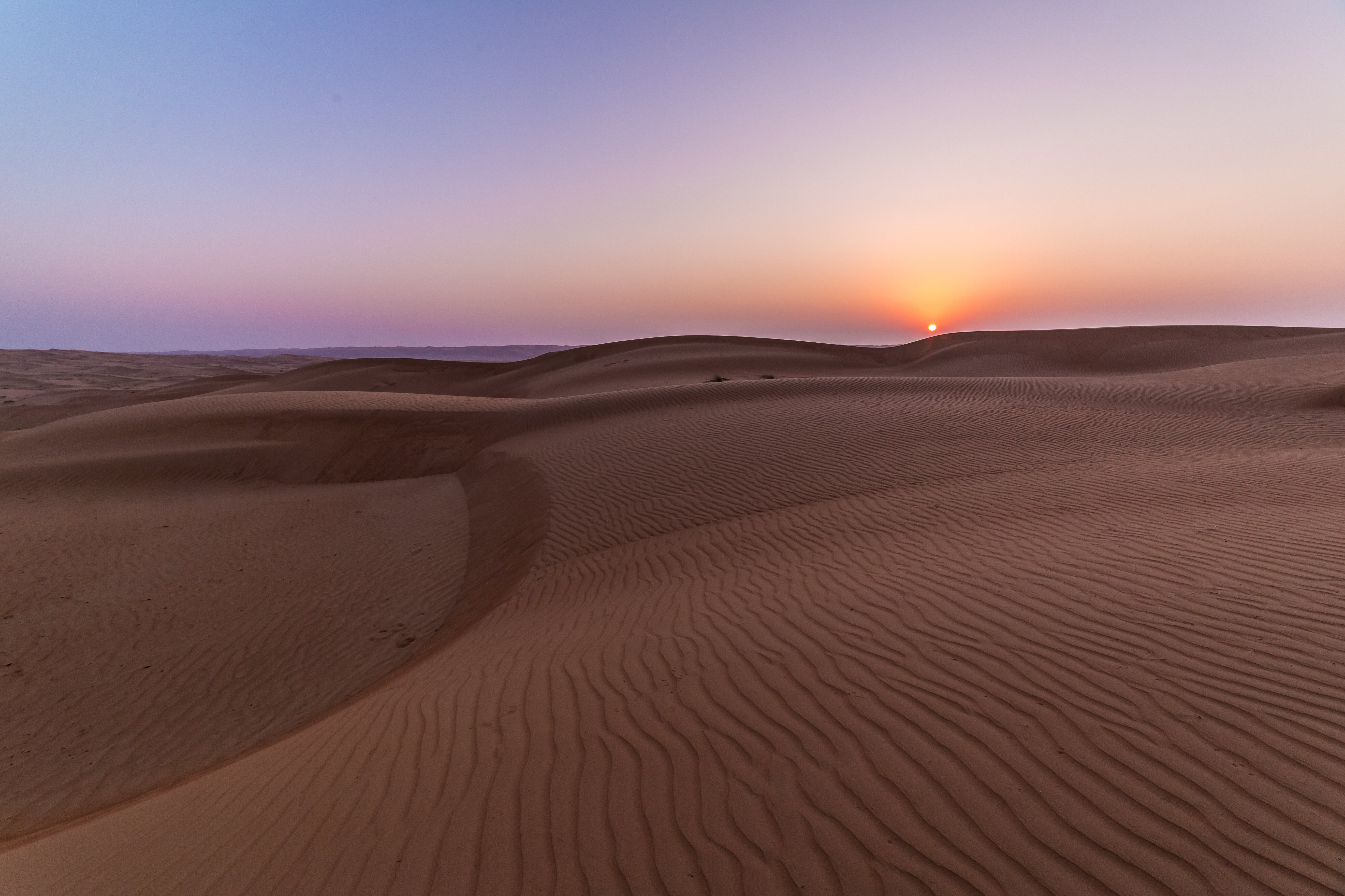امتطاء سفينة الصحراء في صحراء الشرقية