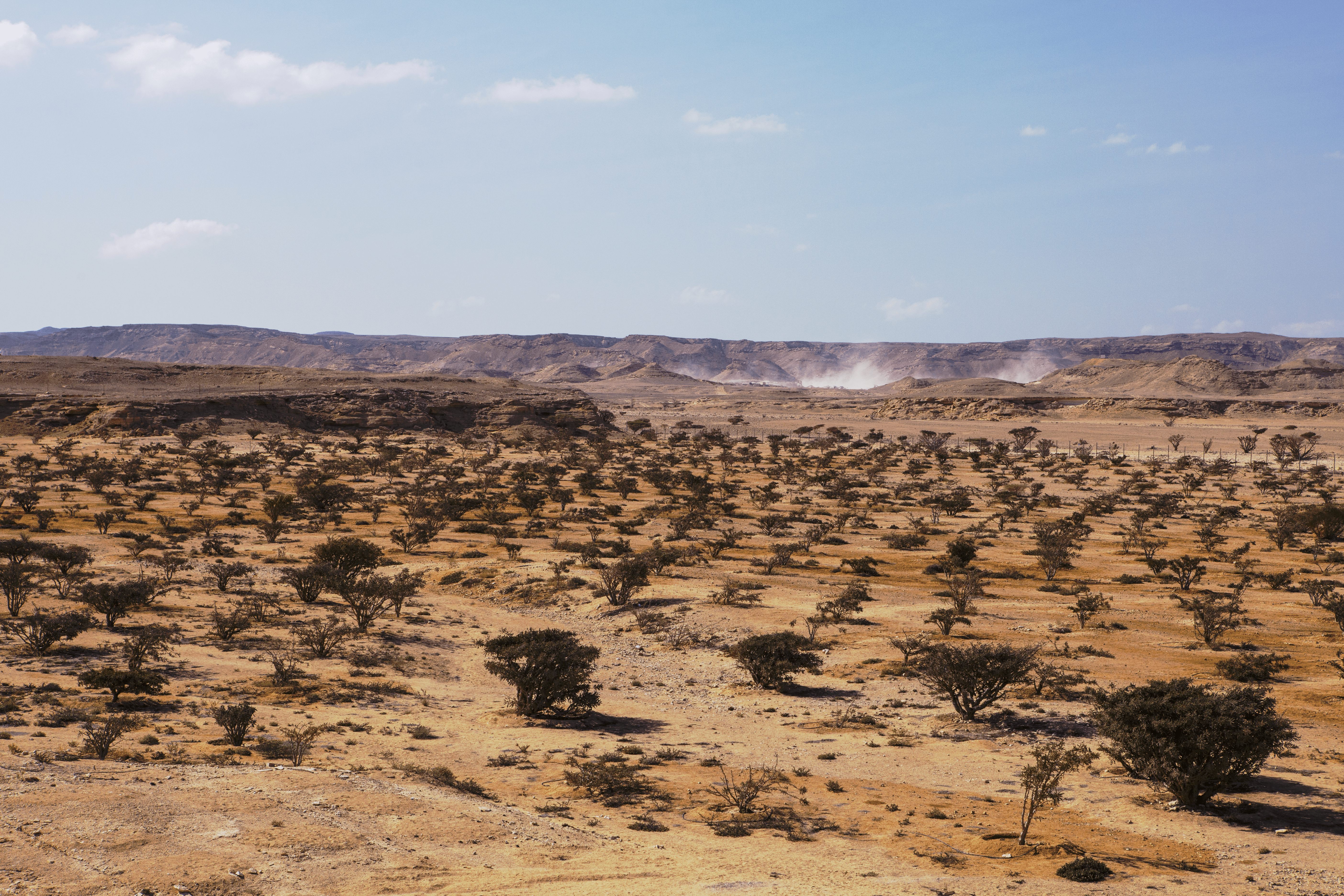 وادي دوكة (موقع إنتاج وتصدير للبان)