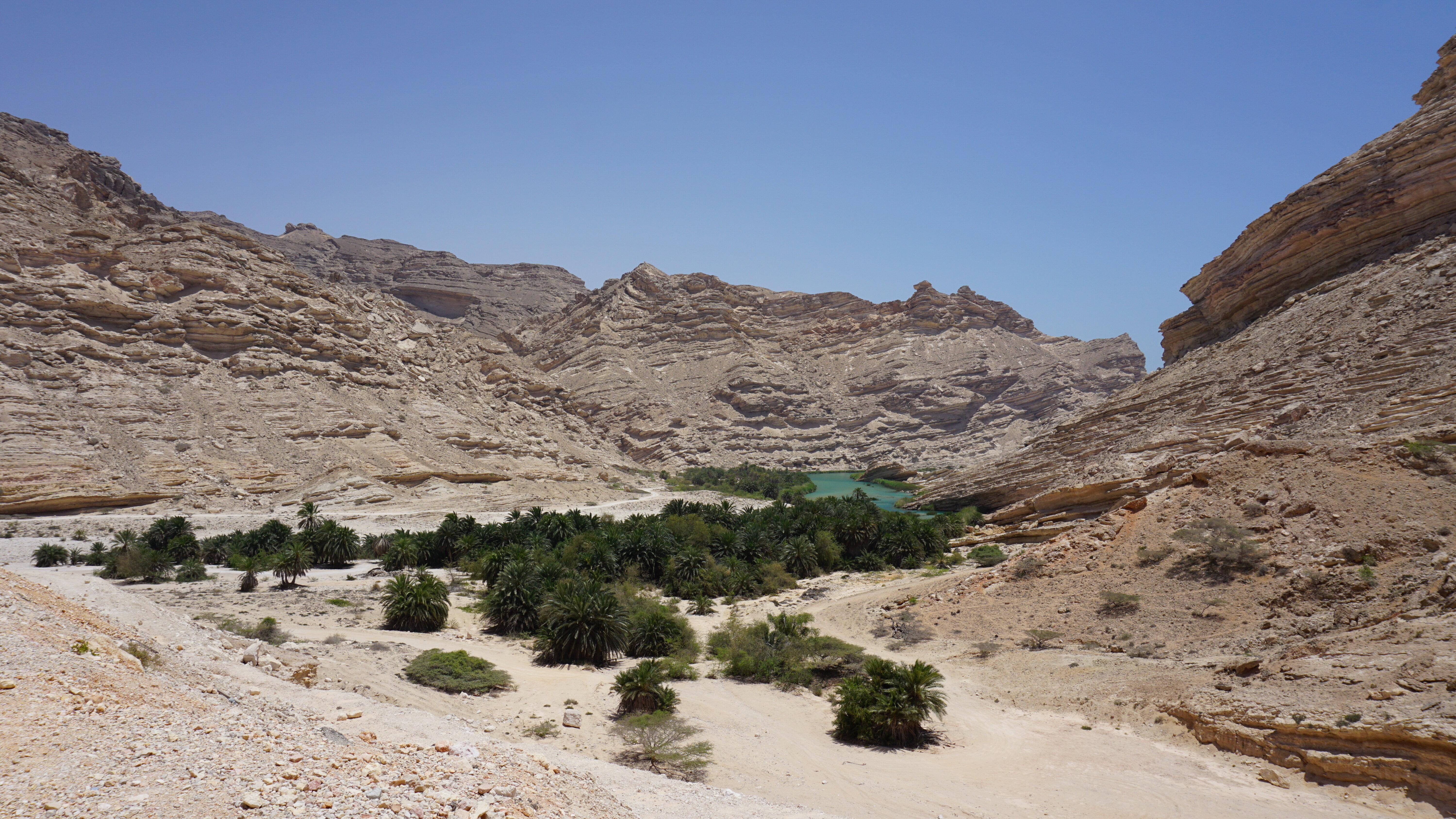 نيابة الشويمية