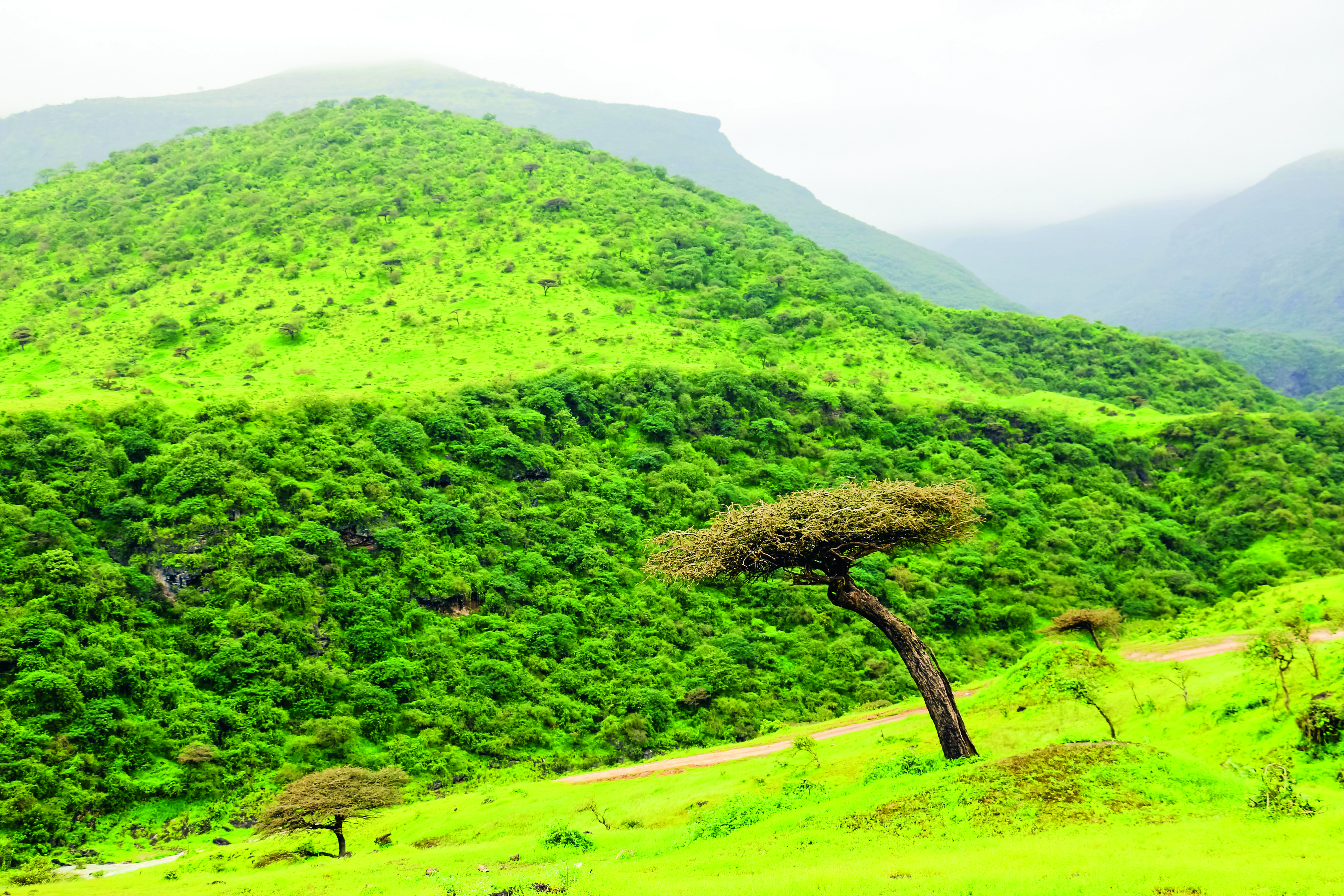 ظفار (استمتاع بين أحضان الطبيعة)