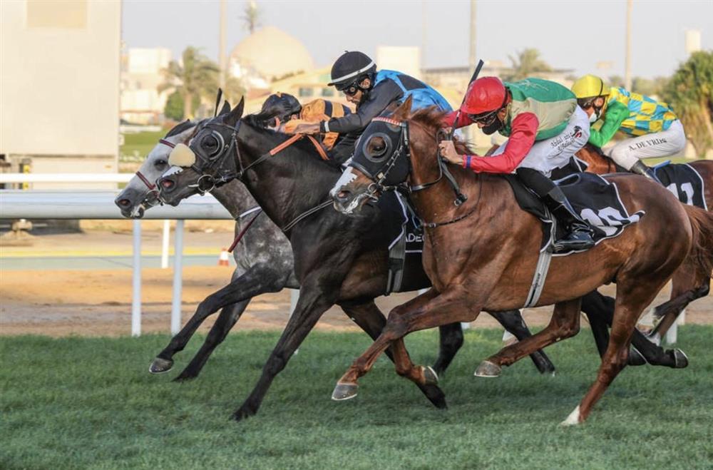 الحصانان جبلاني وعارف يحققان نتائج متقدمة على مضمار أبو ظبي