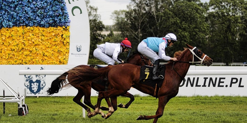 "نسمة" لمربط الحشار تحقق المركز الوصيف على مضمار وارسو البولندي