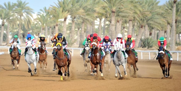 بعد غدٍ.. ختام سباقات نادي الخيل السُّلطاني بولاية بركاء