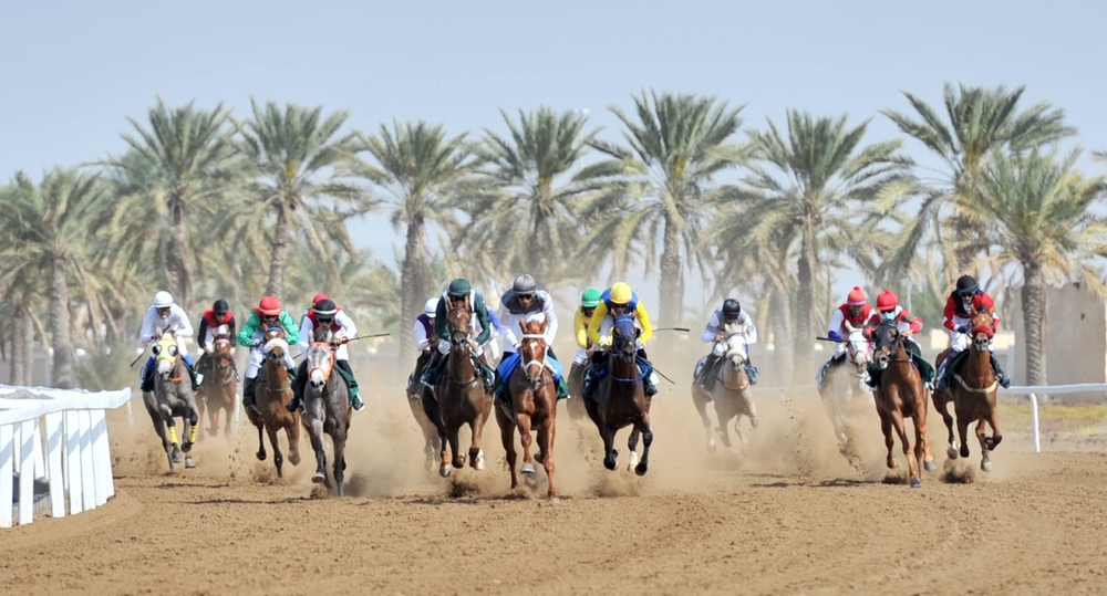 السباق السابع عشر لنادي سباق الخيل السلطاني