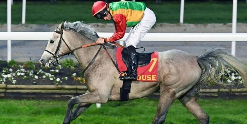 الفرس فطينة للخيالة السلطانية تفوز بالمركز الأول على مضمار تولوز الفرنسي