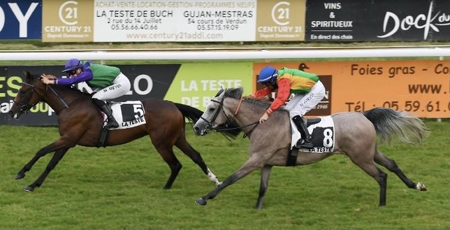 الفرس فطينة للخيالة السُّلطانية تحقق المركز الثالث على مضمار بورداكس الفرنسي