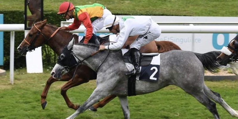 الحصان صفو للخيالة السُّلطانية يفوز بالمركز الأول على مضمار داكس الفرنسي