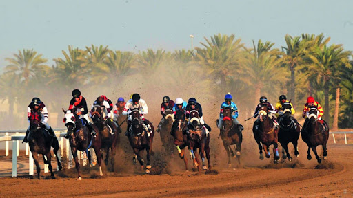 انطلاق السباق الأول لنادي سباق الخيل بميدان الرحبة ببركاء