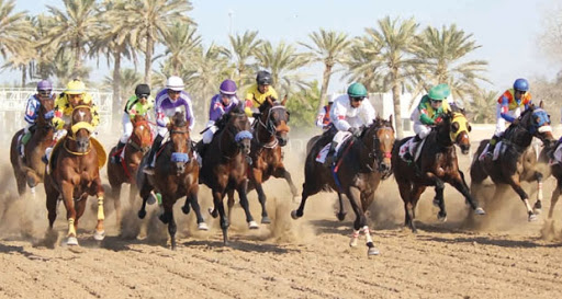 السباق الثاني لنادي سباق الخيل السلطاني بميدان الرحبة ببركاء