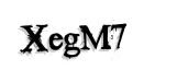 CAPTCHA security code